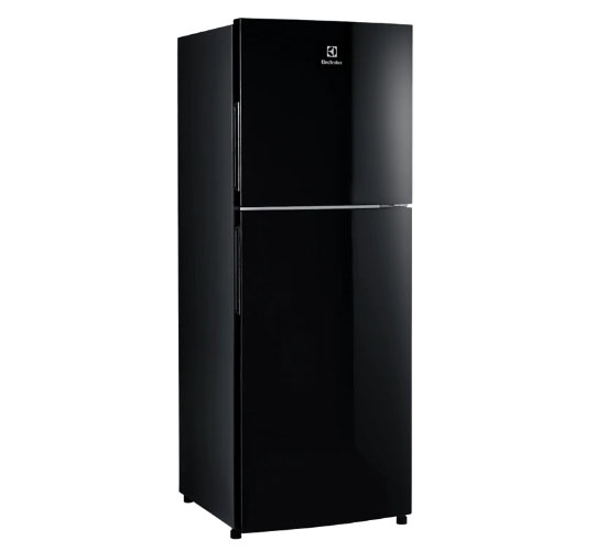 Tủ lạnh Electrolux ETB2802J-H Inverter 256L